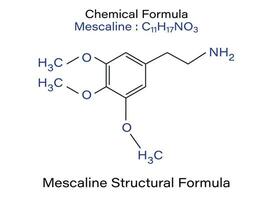 chimique formule de mescaline peyotl molécule squelettique vecteur illustration.