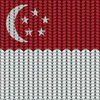 nationale drapeau tressé corde vecteur