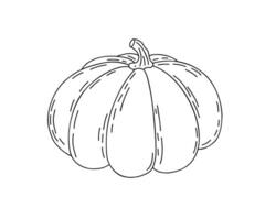 citrouille main tiré contour griffonnage vecteur illustration légume pour saisonnier l'automne vacances fête conception, en bonne santé végétarien régime, action de grâces, Halloween clipart