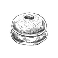 traditionnel allemand polonais Donut avec Confiture, dépoussiéré. ancien illustration. Pâtisserie bonbons, dessert. élément pour le conception de Étiquettes, emballage et cartes postales. vecteur