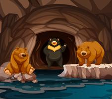 Ours vivant dans la grotte vecteur