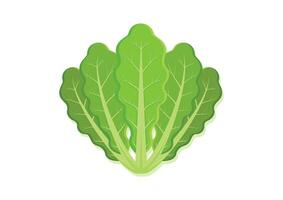 vecteur illustration de salade Frais légume. délicieux en bonne santé nourriture