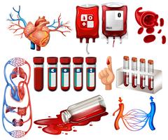 Sang humain et organes vecteur