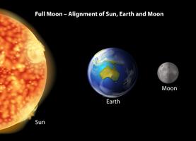 Alignement de la pleine lune vecteur
