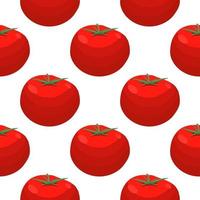 illustration sur le thème de la tomate rouge motif vecteur