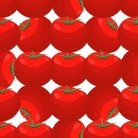 motif tomate rouge, ketchup végétal pour phoque vecteur