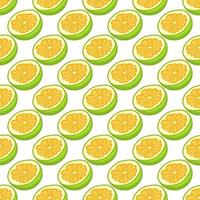 illustration sur le thème gros pomelo sans couture de couleur vecteur