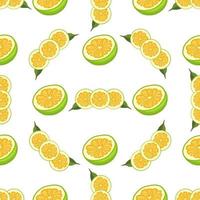 illustration sur le thème gros pomelo sans couture de couleur vecteur