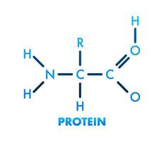 esquisser icône. Créatif vecteur illustration. protéine. de construction chimique formule.