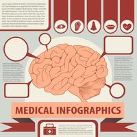 Infographie médicale avec cerveau et texte vecteur