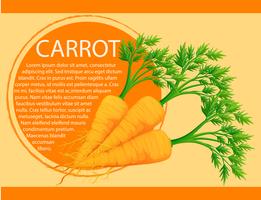 Conception infographique avec des carottes fraîches vecteur