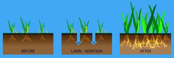 illustration de l'étape d'aération de la pelouse vecteur