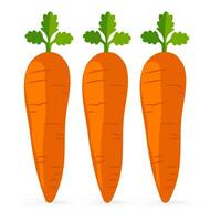 Trois fruité carottes vecteur icône et symbole isolé sur blanc Contexte vecteur illustration