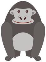 Gorille gris sur fond blanc vecteur