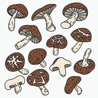 doodle croquis à main levée dessin de légume champignon shitake. vecteur