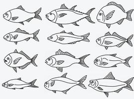 doodle croquis à main levée dessin de la collection de poissons. vecteur