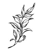 botanique ligne illustration de une feuilles branche pour mariage invitation et cartes, logo conception, la toile, social médias et affiches modèle. élégant minimal style floral vecteur isolé.