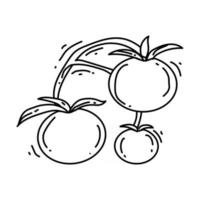 icône de tomate de jardinage. icône dessinée à la main, contour noir, vecteur