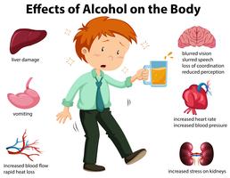 Effets de l&#39;alcool sur le corps vecteur