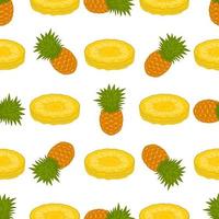 illustration sur le thème gros ananas transparent coloré vecteur