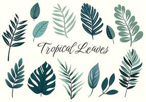 tropical vecteur feuilles. main tiré floral illustration. ensemble de exotique feuilles. paume feuilles
