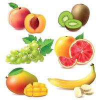 illustration vectorielle de fruits réalistes