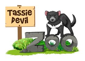 Diable de Tasmanie au zoo vecteur