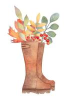 l'automne composition avec caoutchouc bottes, sorbier des oiseleurs et feuilles. botanique saisonnier aquarelle illustration.Thanksgiving. main dessin. vecteur