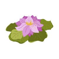 plat coloré illustration de lotus fleur avec lotus feuilles. isolé sur blanc Contexte vecteur
