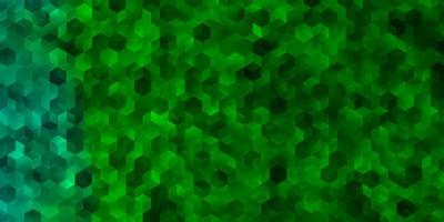 disposition vectorielle vert clair avec des formes hexagonales. vecteur
