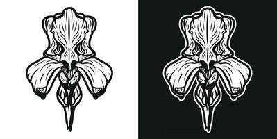 illustration en noir et blanc de la fleur d'iris. vecteur