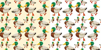 Design de fond transparente avec des canards vecteur