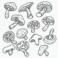 doodle croquis à main levée dessin de légume champignon shitake. vecteur