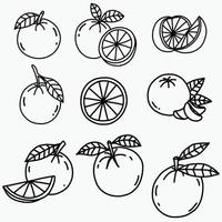 doodle croquis à main levée dessin de fruits orange. vecteur