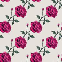 motif floral sans couture botanique dessiné à la main avec fleur rose vecteur