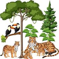 groupe de famille de tigres avec des éléments sauvages sur fond blanc vecteur