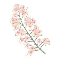 branche de châtaignier en fleurs. fleurs d'arbres vectorielles dessinées à la main vecteur