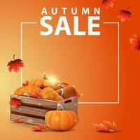 bannière web carré d'automne avec des caisses en bois de citrouilles mûres vecteur