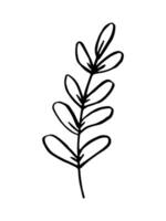 feuille, herbes herbe main tiré griffonnage esquisser. vecteur illustration Célibataire de dessin animé botanique plante. isolé sur blanc Contexte.