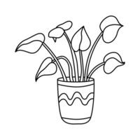 plante d'appartement dans une fleur pot. vecteur griffonnage main tiré illustration de mis en pot plante noir contour