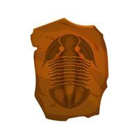 ancien fossile, trilobite imprimer dans pierre vecteur