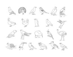 oiseaux - pigeon, paon, corbeau, ensemble d'images clipart de dessin au trait pour enfants vecteur