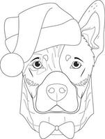 Noël salutation carte pour coloration. australien bétail chien avec Père Noël chapeau et arc attacher vecteur