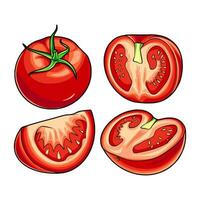 tomate vecteur illustration