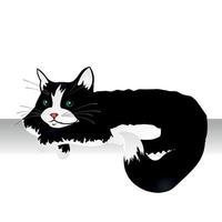chat noir et blanc réaliste allongé sur un fond blanc - vector