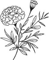 dessiné à la main botanique printemps éléments Naturel collection souci ligne art pour coloration page, réaliste fleur coloration pages, souci fleur contour, souci noir tatouage vecteur