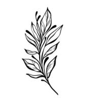 botanique ligne illustration de une feuilles branche pour mariage invitation et cartes, logo conception, la toile, social médias et affiches modèle. élégant minimal style floral vecteur isolé.