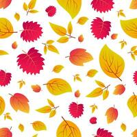 fond harmonieux d'automne avec des feuilles colorées d'érable. conception pour les affiches de la saison d'automne, les papiers d'emballage et les décorations de vacances. illustration vectorielle vecteur