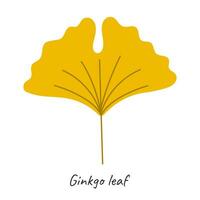 ginkgo l'automne feuille. vecteur illustration.