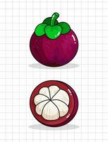 illustration vectorielle de mangoustan fruits vecteur